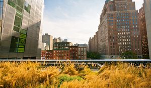 Preview wallpaper new york, buildings, streets, grass, sky