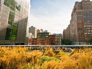 Preview wallpaper new york, buildings, streets, grass, sky