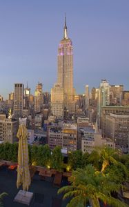 Preview wallpaper new york, skyscrapers, palm trees, buildings, view from above