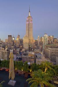 Preview wallpaper new york, skyscrapers, palm trees, buildings, view from above