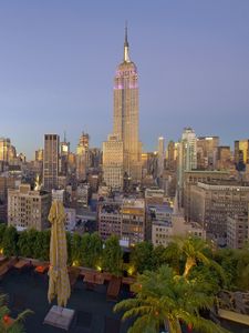 Preview wallpaper new york, skyscrapers, palm trees, buildings, view from above