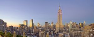 Preview wallpaper new york, skyscrapers, palm trees, buildings, view from above