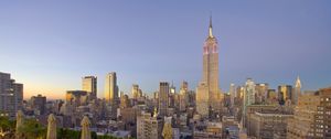 Preview wallpaper new york, skyscrapers, palm trees, buildings, view from above