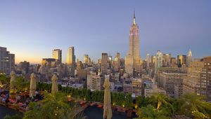 Preview wallpaper new york, skyscrapers, palm trees, buildings, view from above