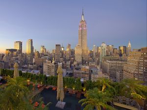 Preview wallpaper new york, skyscrapers, palm trees, buildings, view from above