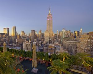 Preview wallpaper new york, skyscrapers, palm trees, buildings, view from above