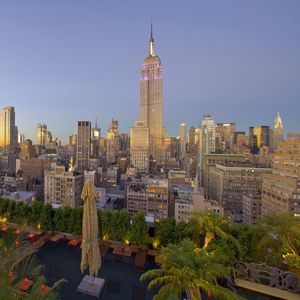 Preview wallpaper new york, skyscrapers, palm trees, buildings, view from above