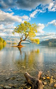 Preview wallpaper new zealand, island, lake, wanaka