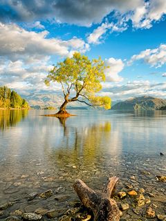 Download wallpaper 240x320 new zealand, island, lake, wanaka old mobile,  cell phone, smartphone hd background