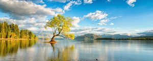 Preview wallpaper new zealand, island, lake, wanaka