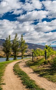 Preview wallpaper new zealand, mountain, river, trail, trees