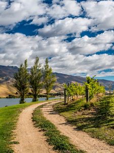 Preview wallpaper new zealand, mountain, river, trail, trees