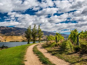 Preview wallpaper new zealand, mountain, river, trail, trees