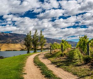 Preview wallpaper new zealand, mountain, river, trail, trees