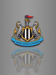 Preview wallpaper newcastle united, football, logo, reflection