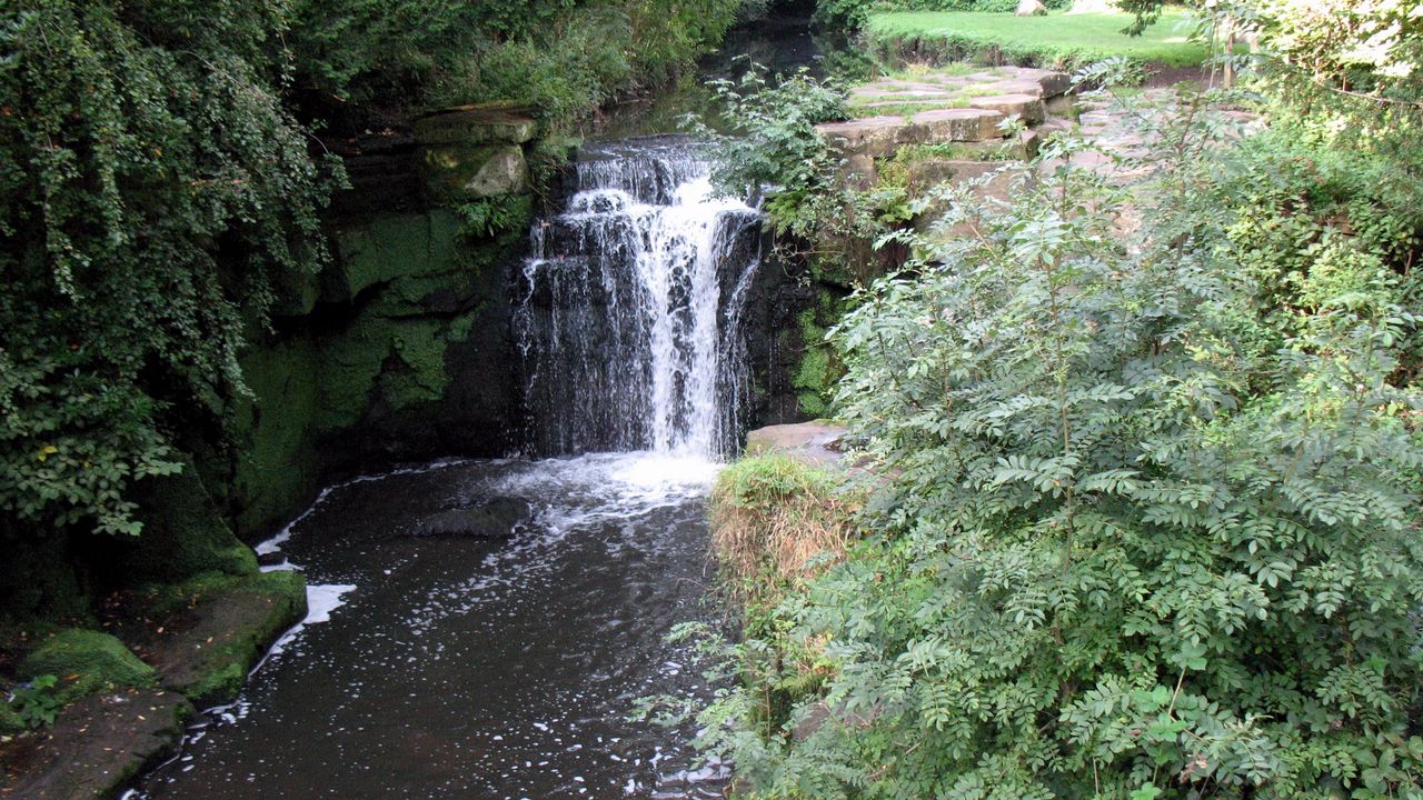 Wallpaper newcastle upon tyne, england, falls, vegetation, greens