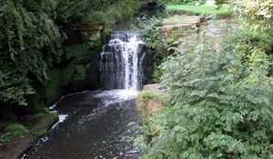 Preview wallpaper newcastle upon tyne, england, falls, vegetation, greens