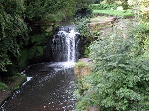 Preview wallpaper newcastle upon tyne, england, falls, vegetation, greens