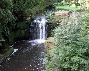 Preview wallpaper newcastle upon tyne, england, falls, vegetation, greens