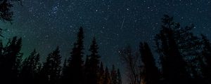 Preview wallpaper night, bonfire, spruce, stars, starry sky