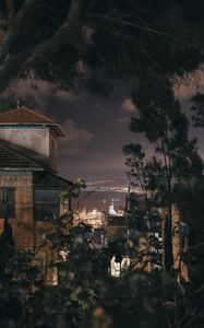Preview wallpaper night, branches, city, sea, trees