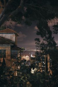Preview wallpaper night, branches, city, sea, trees