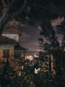 Preview wallpaper night, branches, city, sea, trees