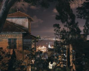 Preview wallpaper night, branches, city, sea, trees