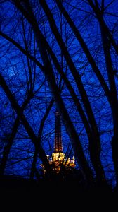 Preview wallpaper night, branches, structure, light, sky