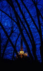 Preview wallpaper night, branches, structure, light, sky