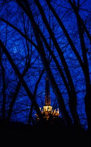 Preview wallpaper night, branches, structure, light, sky