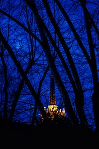 Preview wallpaper night, branches, structure, light, sky