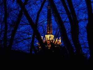Preview wallpaper night, branches, structure, light, sky