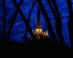 Preview wallpaper night, branches, structure, light, sky