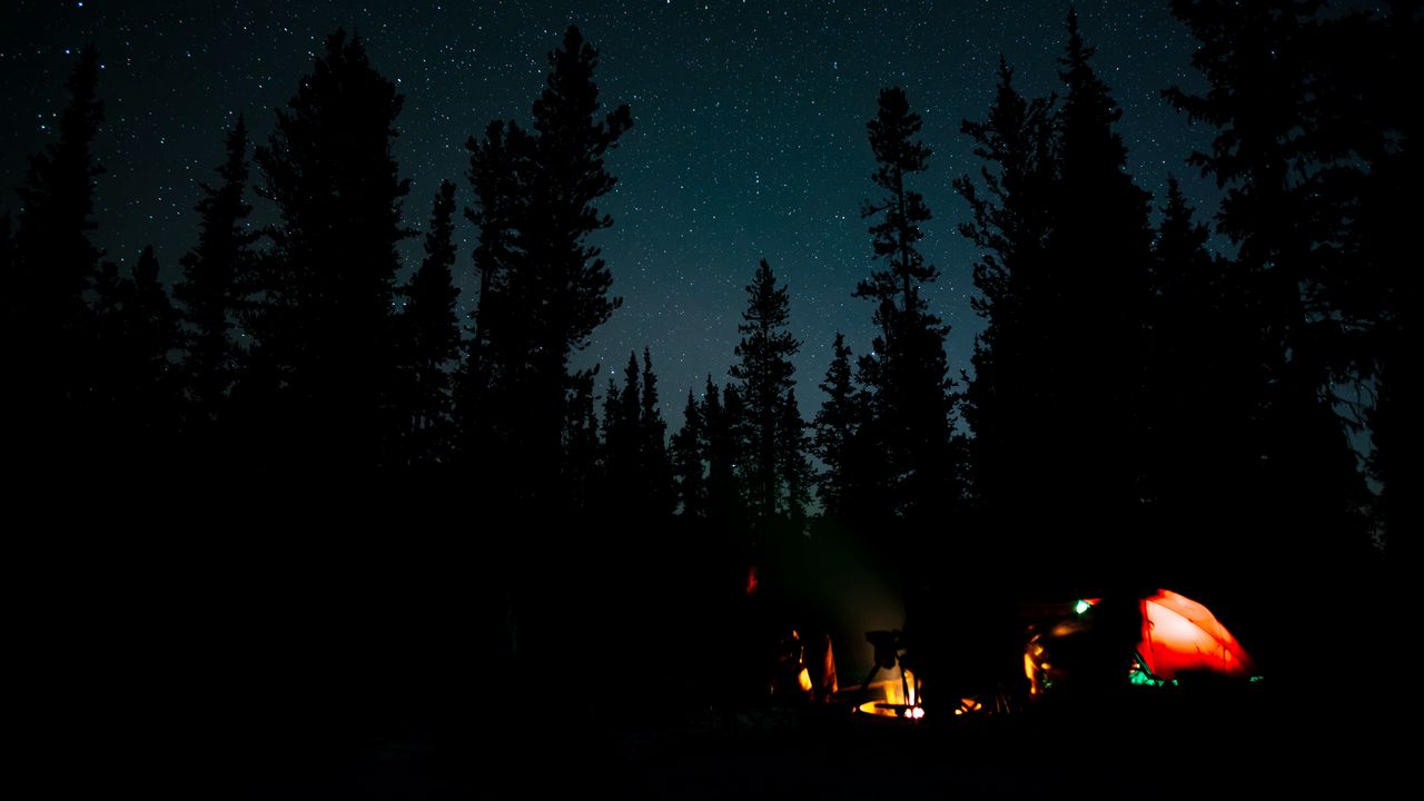 Wallpaper night, campfire, camping, forest