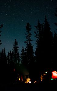 Preview wallpaper night, campfire, camping, forest