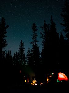 Preview wallpaper night, campfire, camping, forest