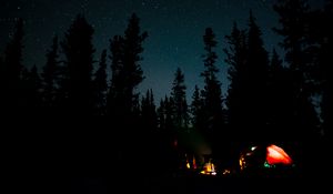 Preview wallpaper night, campfire, camping, forest