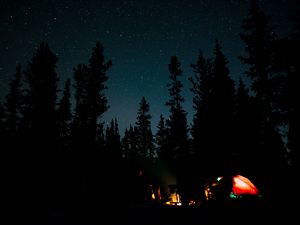 Preview wallpaper night, campfire, camping, forest