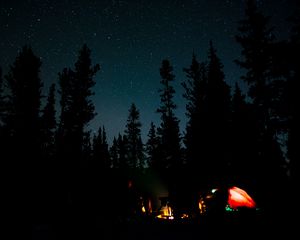 Preview wallpaper night, campfire, camping, forest