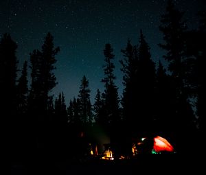 Preview wallpaper night, campfire, camping, forest