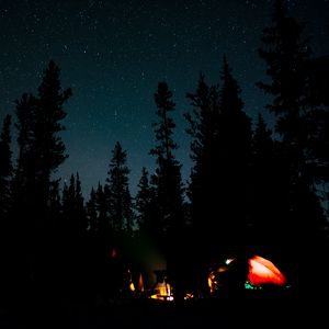 Preview wallpaper night, campfire, camping, forest