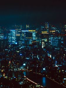 Preview wallpaper night city, aerial view, tokyo, city lights, metropolis