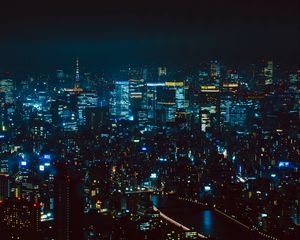 Preview wallpaper night city, aerial view, tokyo, city lights, metropolis