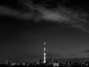 Preview wallpaper night city, buildings, architecture, panorama, dark, bw