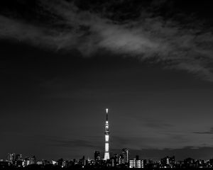 Preview wallpaper night city, buildings, architecture, panorama, dark, bw