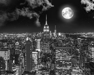 Preview wallpaper night city, bw, full moon, new york, usa