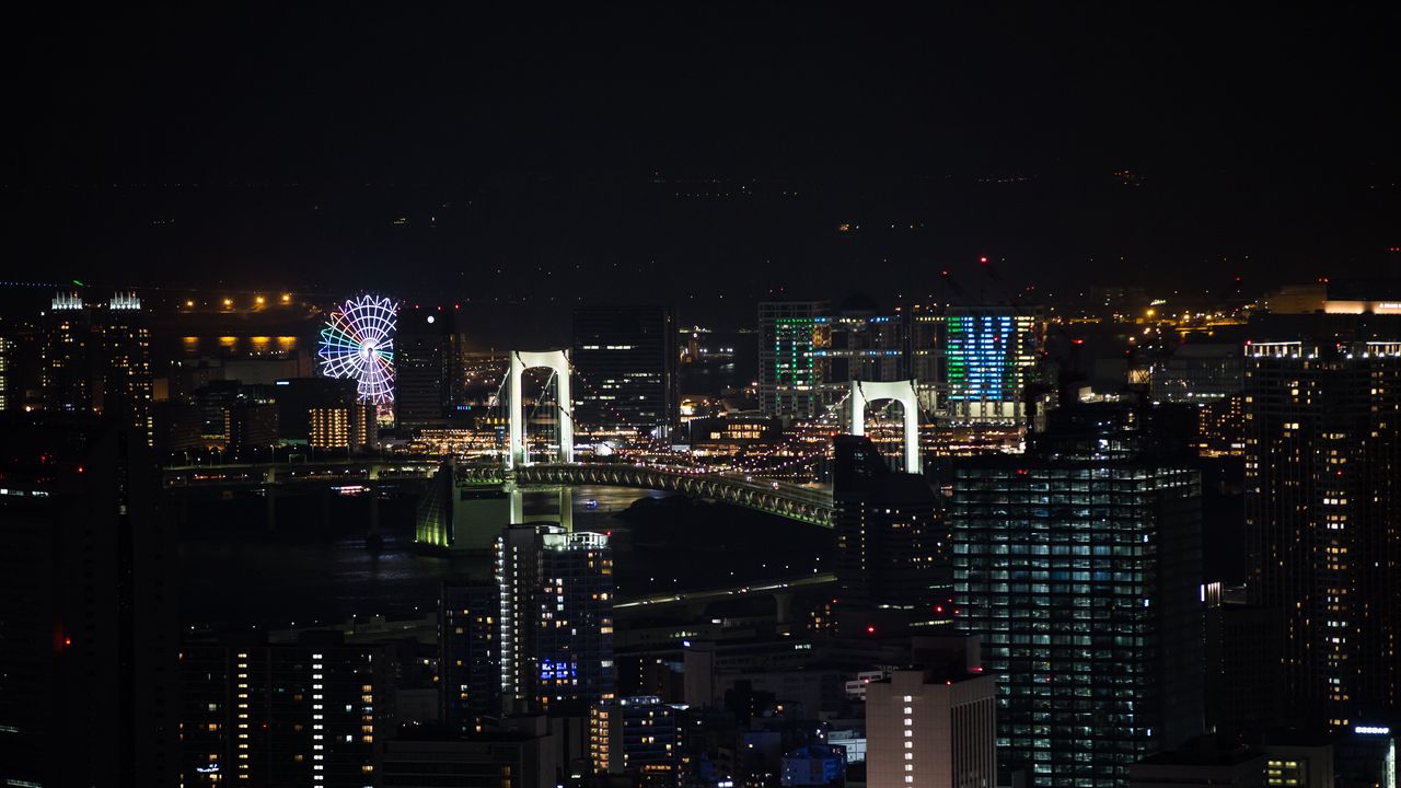 Wallpaper night city, city, buildings, ferris wheel, aerial view