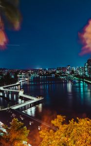 Preview wallpaper night city, city lights, branches, aerial view, australia