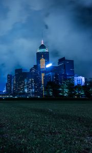 Preview wallpaper night city, city lights, skyline, grass, hong kong